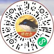 山海经异变小程序入口