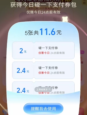 领取到的支付券