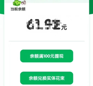 提现100明细