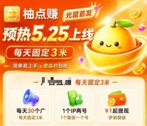 柚点赚app上线海报