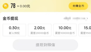 提现明细