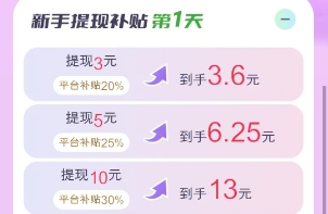 提现补贴明细