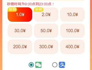 提现选项明细