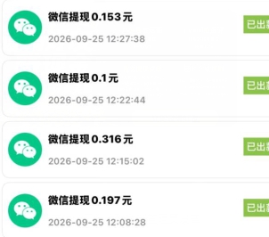 自动提现记录